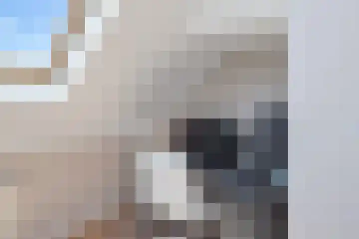 Mari Andriessenhof 10 Hoorn thumbnail 45