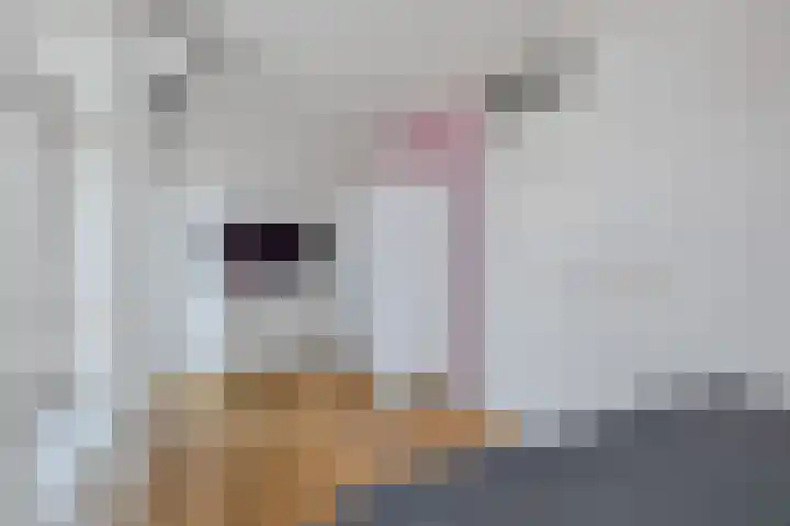 Mari Andriessenhof 10 Hoorn thumbnail 49