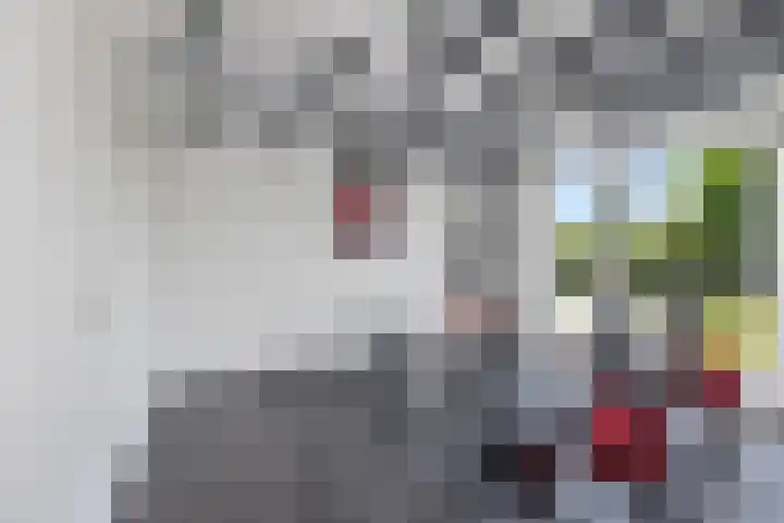Mari Andriessenhof 10 Hoorn thumbnail 58