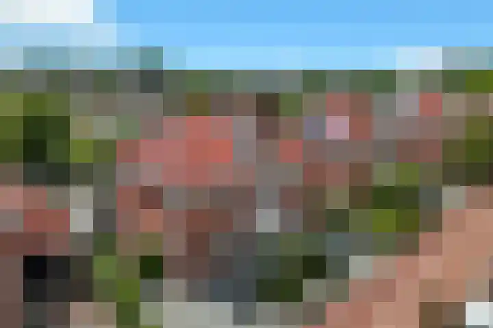 Mari Andriessenhof 10 Hoorn thumbnail 7