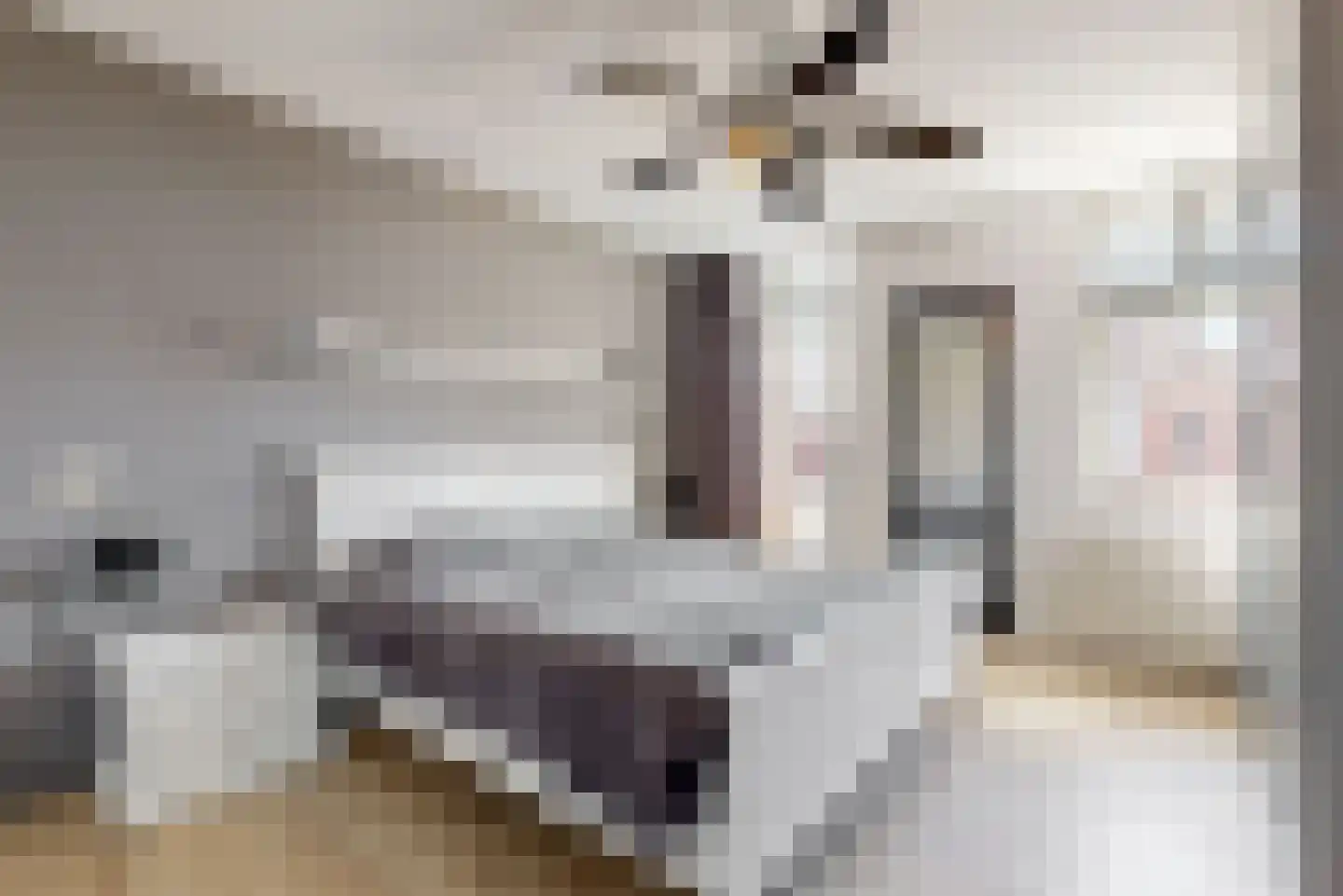 Mari Andriessenhof 15 Hoorn thumbnail 30