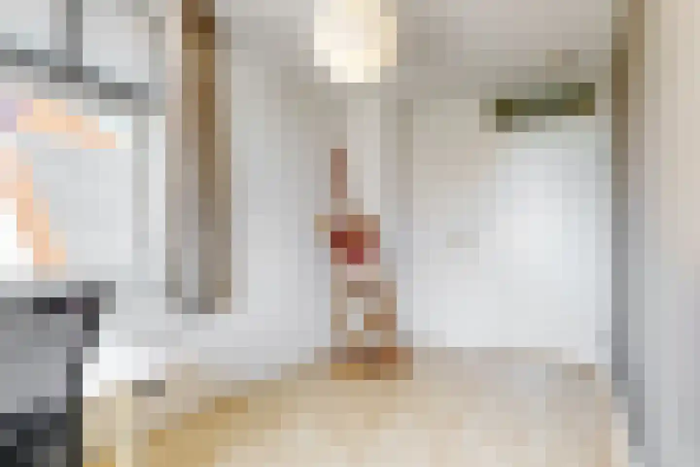 Mari Andriessenhof 15 Hoorn thumbnail 35