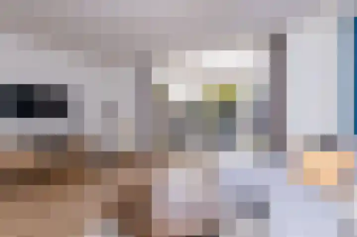 Mari Andriessenhof 24 Hoorn thumbnail 17