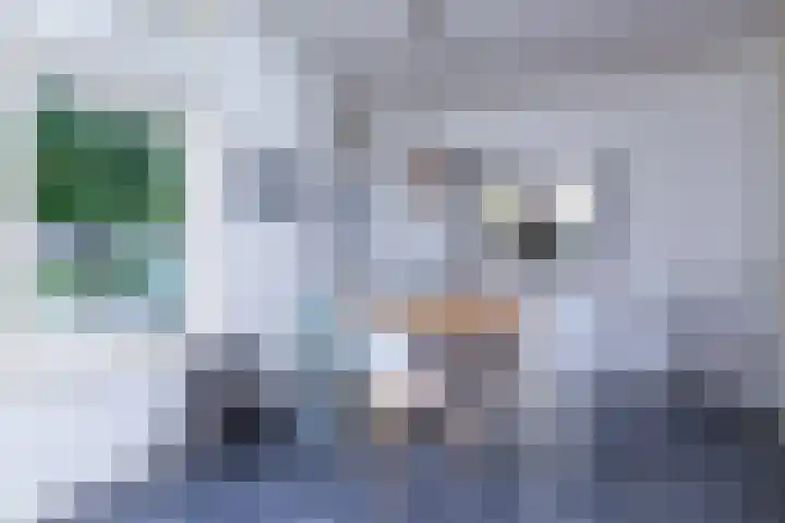 Mari Andriessenhof 24 Hoorn thumbnail 21