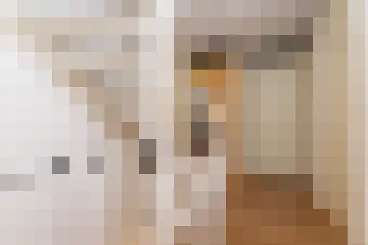 Mari Andriessenhof 24 Hoorn thumbnail 26