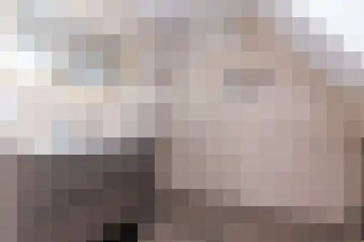 Mari Andriessenhof 24 Hoorn thumbnail 37