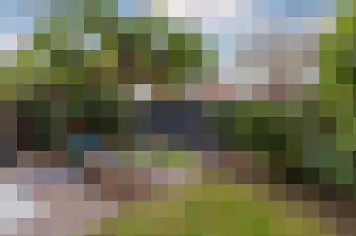 Mari Andriessenhof 24 Hoorn thumbnail 4