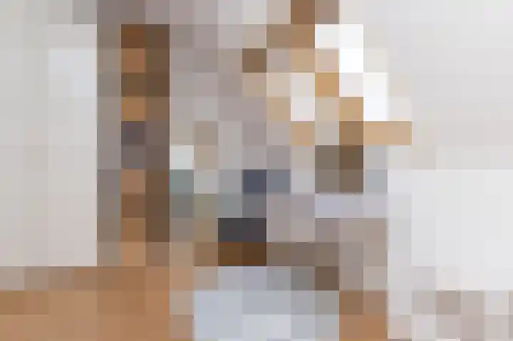 Mari Andriessenhof 24 Hoorn thumbnail 43
