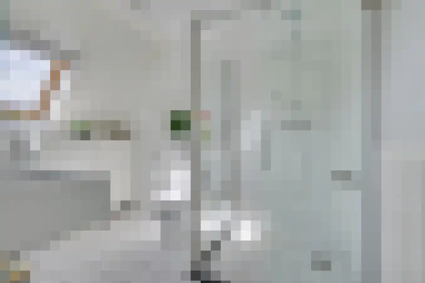 Mari Andriessenhof 60 Hoorn thumbnail 22