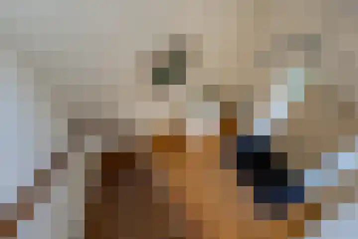 Mari Andriessenhof 77 Hoorn thumbnail 30