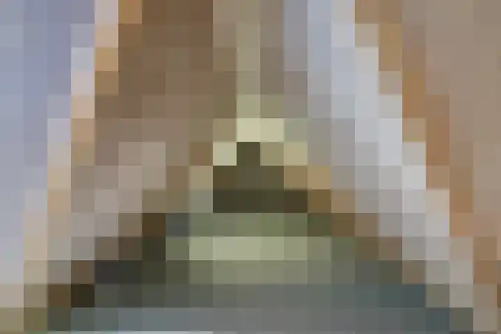 Mari Andriessenhof 77 Hoorn thumbnail 53