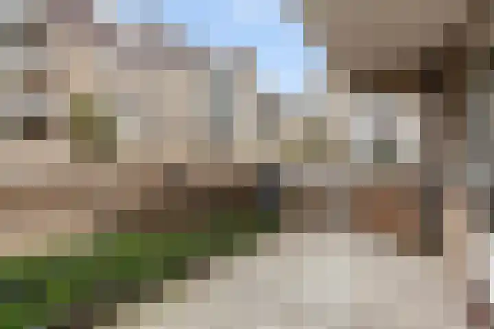 Mari Andriessenrade 1 Capelle aan den IJssel thumbnail 16