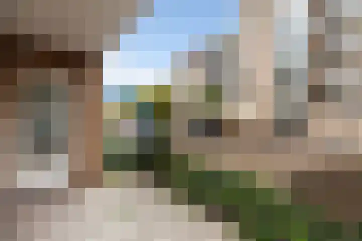 Mari Andriessenrade 1 Capelle aan den IJssel thumbnail 17