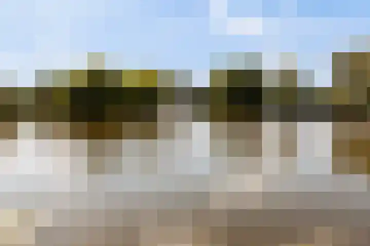 Mari Andriessenrade 1 Capelle aan den IJssel thumbnail 22