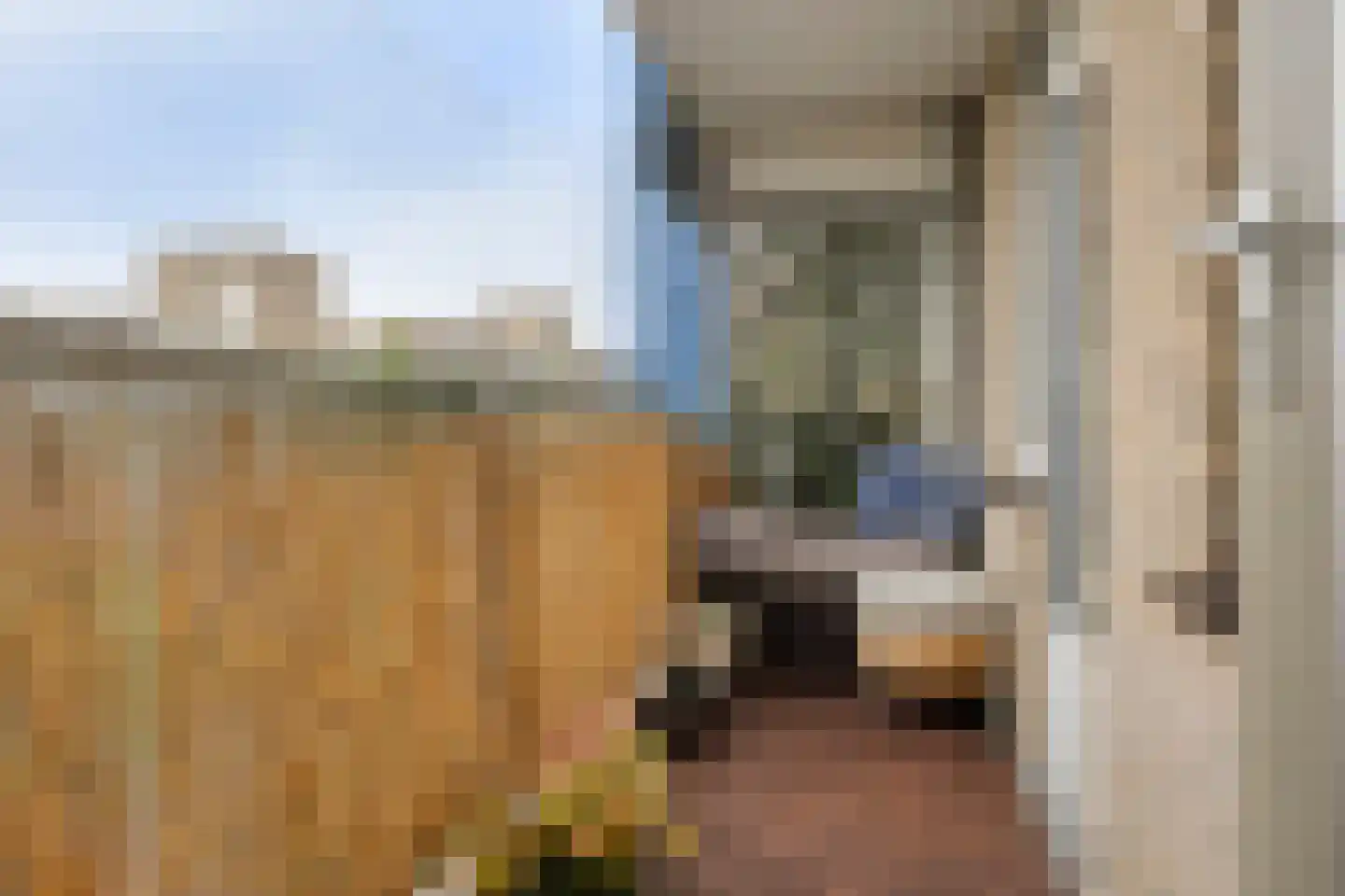 Mari Andriessenrade 105 Capelle aan den IJssel thumbnail 5