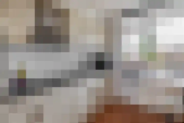 Mari Andriessenrade 12 Capelle aan den IJssel thumbnail 12