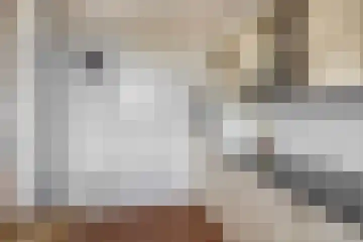 Mari Andriessenrade 12 Capelle aan den IJssel thumbnail 13