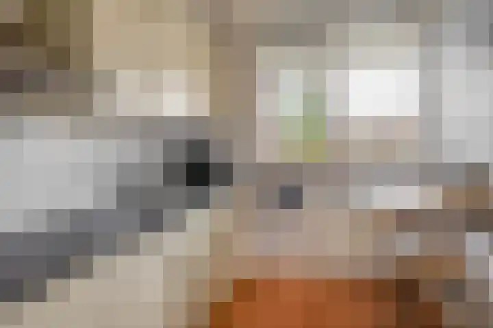 Mari Andriessenrade 12 Capelle aan den IJssel thumbnail 14