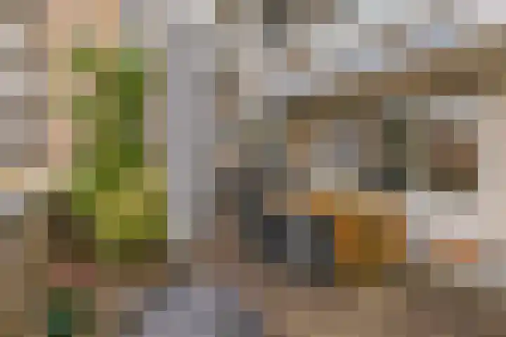 Mari Andriessenrade 12 Capelle aan den IJssel thumbnail 17