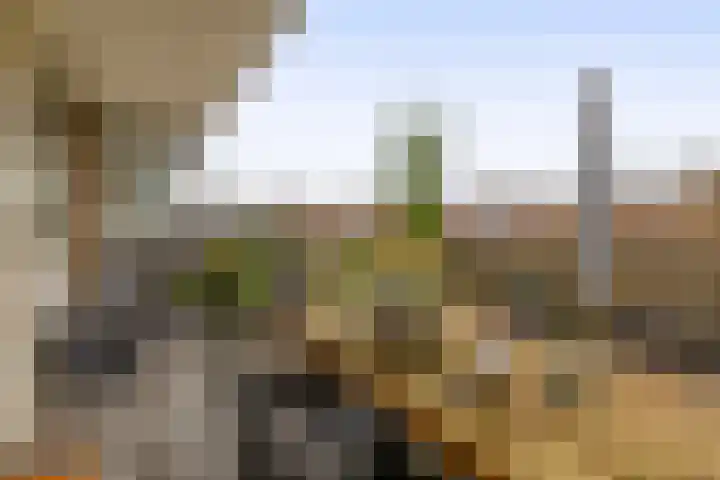 Mari Andriessenrade 12 Capelle aan den IJssel thumbnail 18