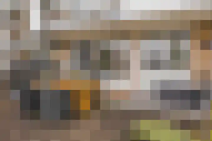 Mari Andriessenrade 12 Capelle aan den IJssel thumbnail 19