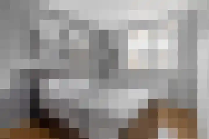 Mari Andriessenrade 12 Capelle aan den IJssel thumbnail 20