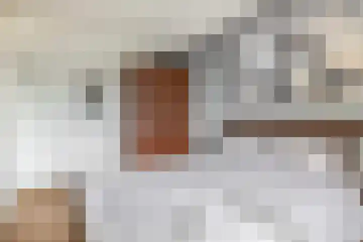 Mari Andriessenrade 12 Capelle aan den IJssel thumbnail 21