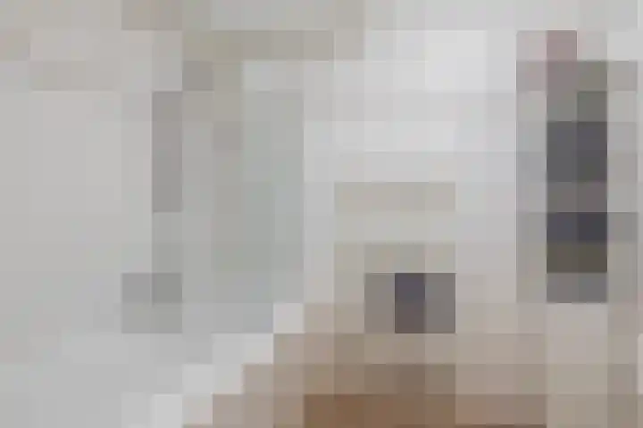Mari Andriessenrade 12 Capelle aan den IJssel thumbnail 22