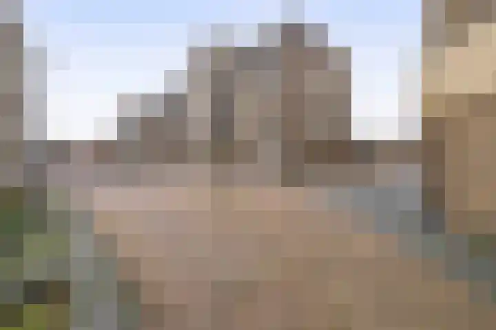 Mari Andriessenrade 12 Capelle aan den IJssel thumbnail 37