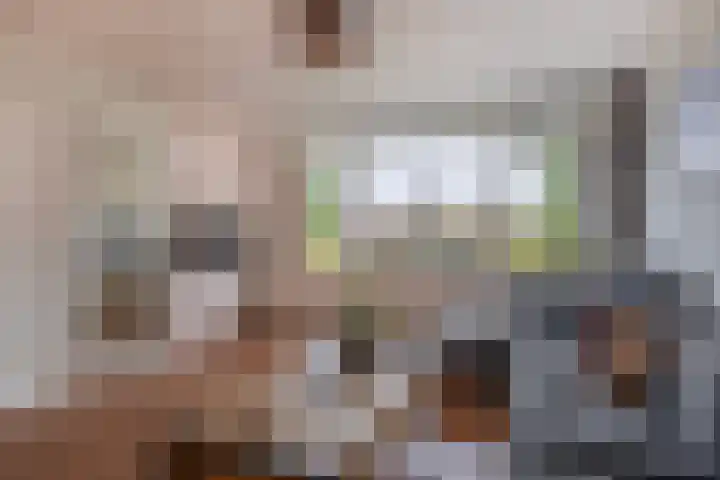 Mari Andriessenrade 12 Capelle aan den IJssel thumbnail 8