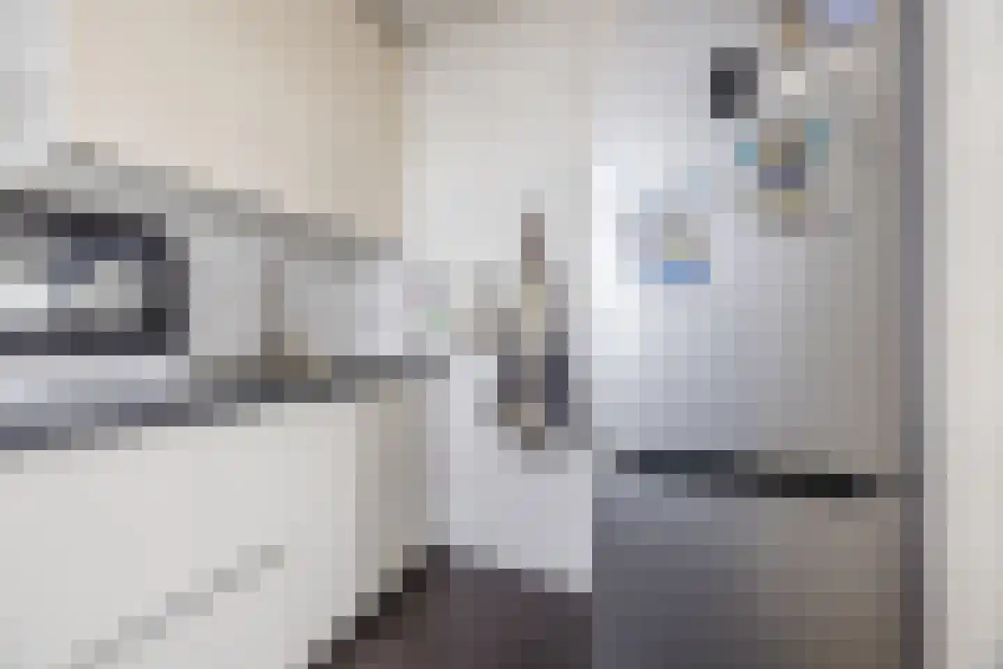 Mari Andriessenrade 41 Capelle aan den IJssel thumbnail 16