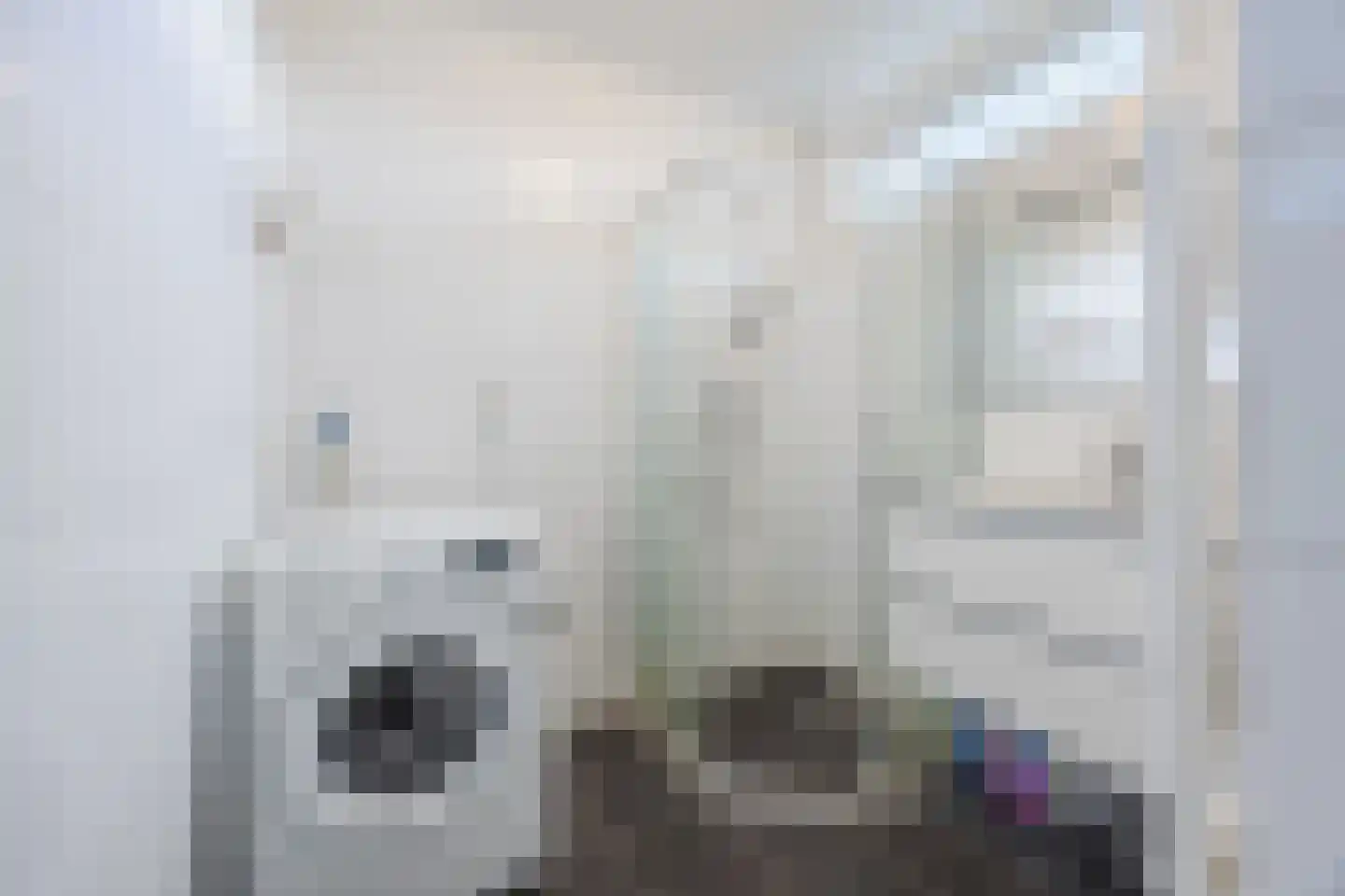 Mari Andriessenrade 41 Capelle aan den IJssel thumbnail 4