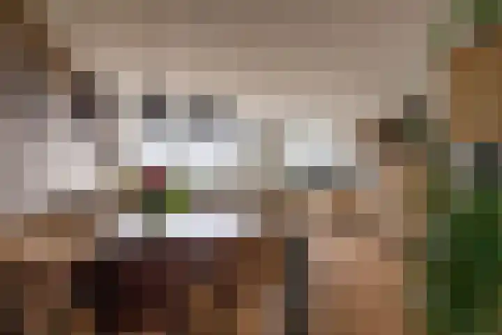 Mari Andriessenrade 45 Capelle aan den IJssel thumbnail 23