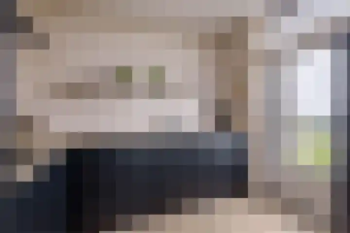 Mari Andriessenrade 45 Capelle aan den IJssel thumbnail 25