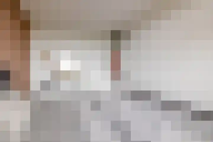 Mari Andriessenrade 45 Capelle aan den IJssel thumbnail 31