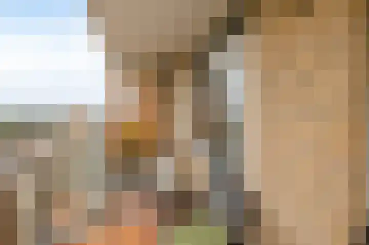 Mari Andriessenrade 45 Capelle aan den IJssel thumbnail 36
