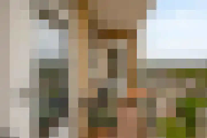 Mari Andriessenrade 45 Capelle aan den IJssel thumbnail 37