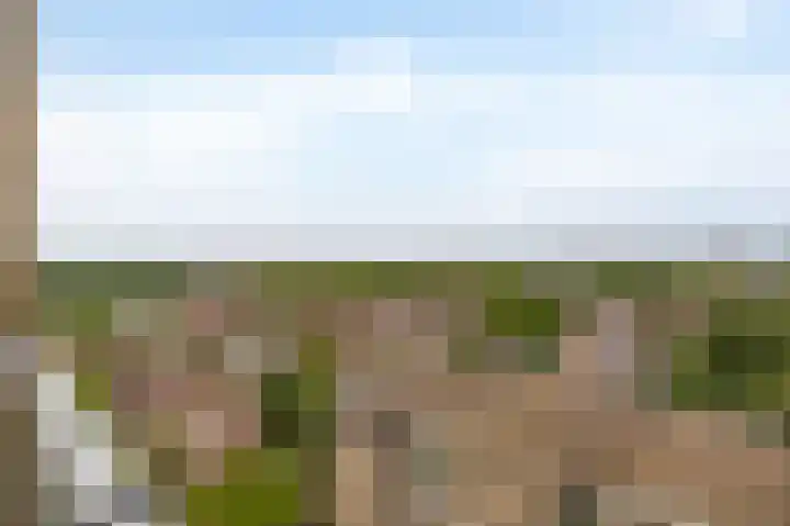 Mari Andriessenrade 45 Capelle aan den IJssel thumbnail 38