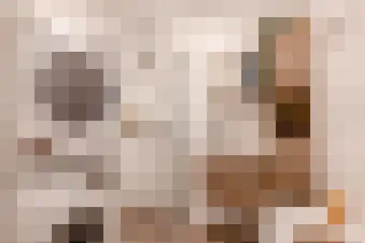 Mari Andriessenrade 45 Capelle aan den IJssel thumbnail 4
