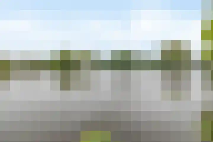 Mari Andriessenrade 45 Capelle aan den IJssel thumbnail 43