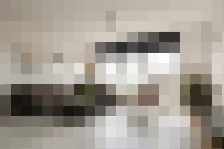 Mari Andriessenrade 49 Capelle aan den IJssel thumbnail 11