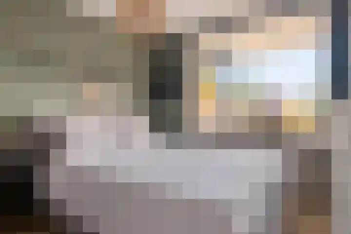 Mari Andriessenrade 54 Capelle aan den IJssel thumbnail 10