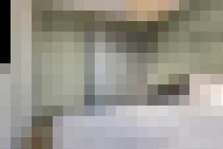 Mari Andriessenrade 54 Capelle aan den IJssel thumbnail 11