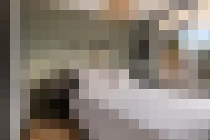 Mari Andriessenrade 54 Capelle aan den IJssel thumbnail 12