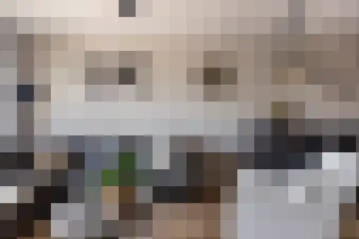 Mari Andriessenrade 54 Capelle aan den IJssel thumbnail 13