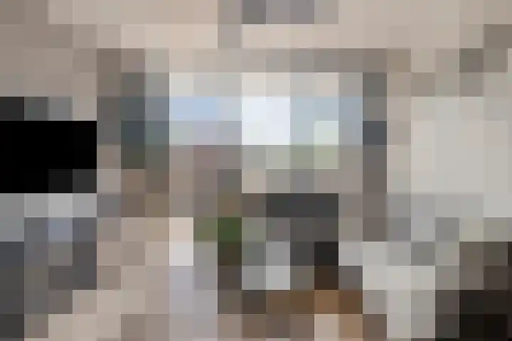 Mari Andriessenrade 54 Capelle aan den IJssel thumbnail 16