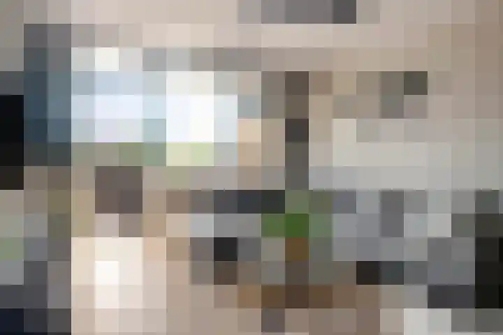 Mari Andriessenrade 54 Capelle aan den IJssel thumbnail 17