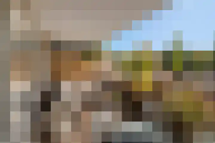 Mari Andriessenrade 54 Capelle aan den IJssel thumbnail 18