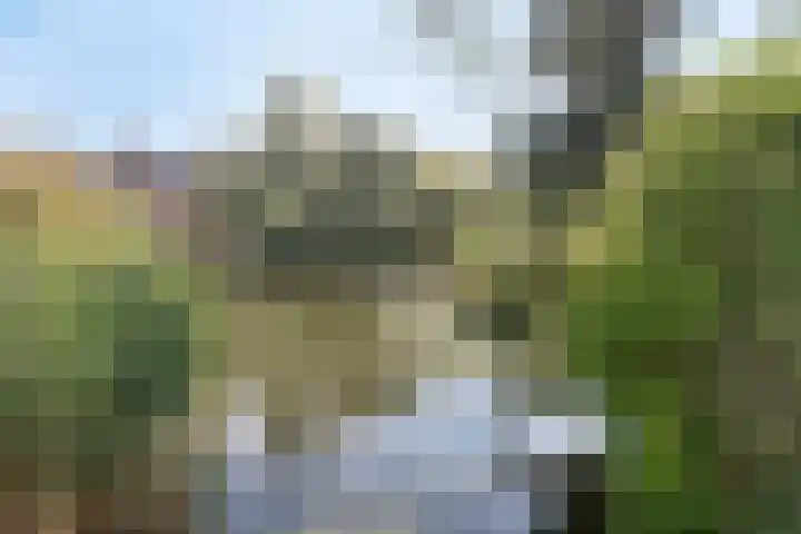 Mari Andriessenrade 54 Capelle aan den IJssel thumbnail 19