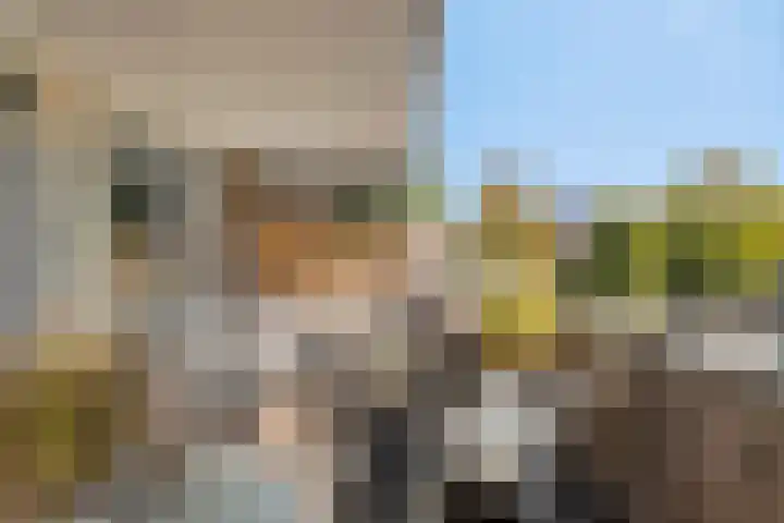 Mari Andriessenrade 54 Capelle aan den IJssel thumbnail 26